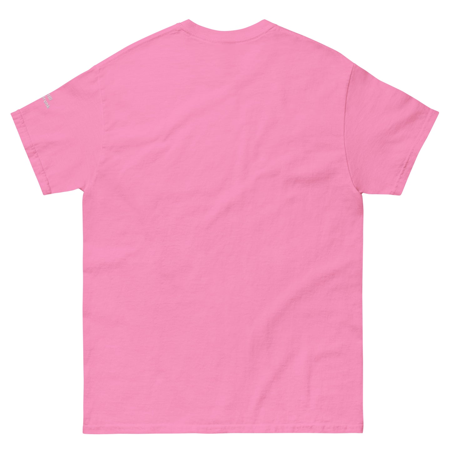 Steve Stevenson A.A. T-Shirt (Unisex)