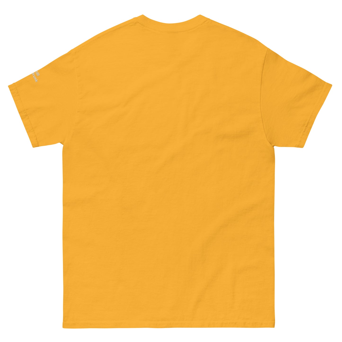 Steve Stevenson A.A. T-Shirt (Unisex)