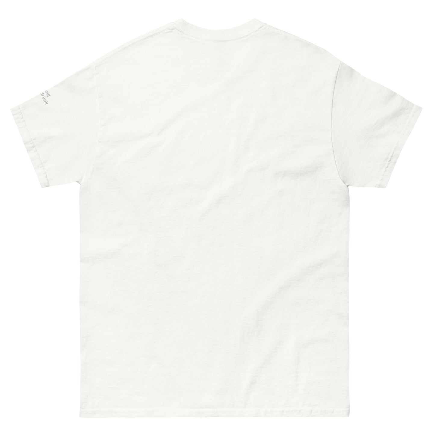 Steve Stevenson A.A. T-Shirt (Unisex)